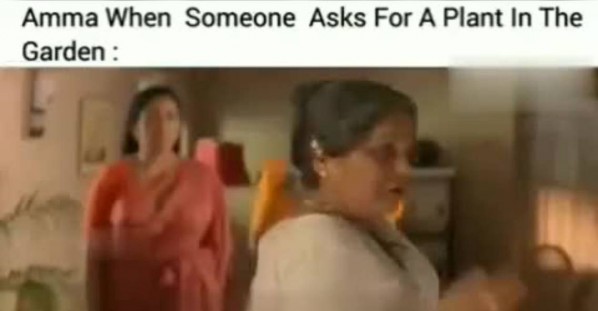 കൊണ്ടുപോയി വളർത്തിക്കോ