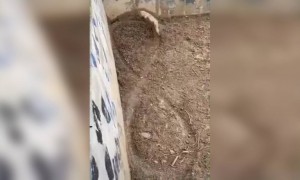 നാളെ ഡ്രൈവിംഗ് ടെസ്റ്റ് വല്ലതുമുണ്ടോ