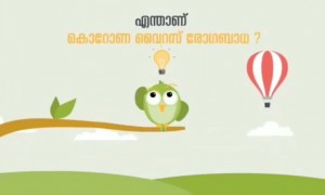 ഷെയർ ചെയ്യാം