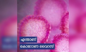 എന്താണ് കൊറോണ വൈറസ് ?