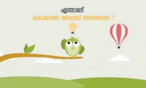കൊറോണ വൈറസ്; നാം അറിയേണ്ടതെല്ലാം