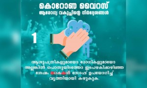 ആരോഗ്യവകുപ്പിന്റെ നിർദ്ദേശങ്ങൾ