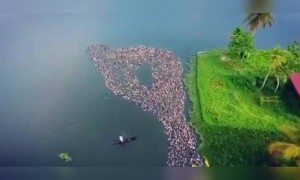 ഒരു അടിപൊളി വ്യൂ !