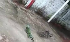 പൂച്ചയുടെ കണ്ണിൽ നിന്ന് പൊന്നീച്ച പറന്ന് കാണും