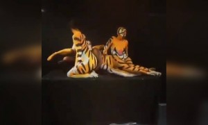 ഇതൊക്കെയാണ് ക്രിയേറ്റിവിറ്റി