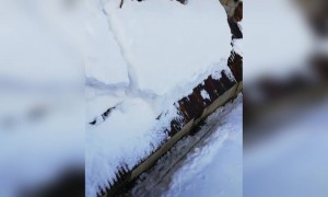 ആരായാലും ഒരു അബദ്ധമൊക്കെ പാട്ടും