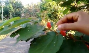 ഫോട്ടോഗ്രഫി ഒരു സംഭവം തന്നെയാണ് !