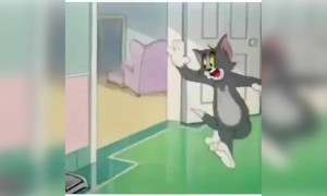 ഇപ്പൊ ഇതാണ് അവസ്ഥ