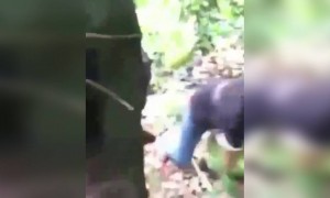 സമാധാനമായല്ലോ അല്ലെ !