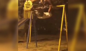 ഇജ്ജാതി ഊഞ്ഞാലാട്ടം