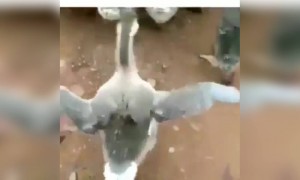 നിനക്ക് എന്താണ് പറ്റിയത് !