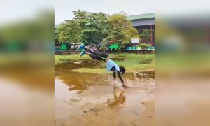 നീ ഹീറോയാടാ ഹീറോ!