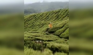 മനോഹരമല്ല അതിമനോഹരം