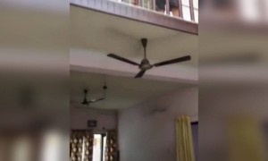 നാട്ടിൽ പോയ പ്രവാസിയുടെ ഇപ്പോഴുള്ള അവസ്ഥ