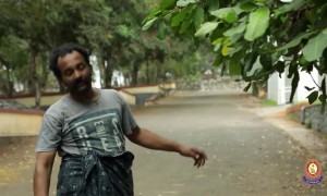 ഈ കാലവും കടന്നു പോകും .. ഇതും നമ്മൾ അതിജീവിക്കും