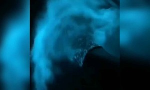 ഇത് നേരിൽ കണ്ടിട്ടുണ്ടോ ?