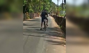 ഒരു പാമ്പിനെ കിട്ടിയിട്ടുണ്ട് !!