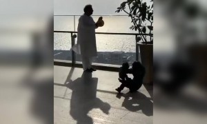 അംബാനിയുടെ ക്ലാപ്പ് വീഡിയോ !