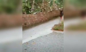 മാലാഖയ്ക്ക് ചെറിയൊരു കയ്യടി, നമ്മൾ അതിജീവിക്കും..