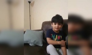 ഇടിച്ച് പപ്പടം ആക്കും