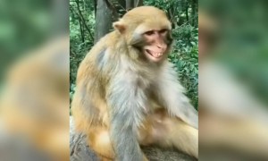 ഒന്ന് സൂക്ഷിച്ച് നോക്കിയേ, എന്തെങ്കിലും കുഴപ്പമുണ്ടോ ?