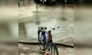 ഈ ഫയർ ഫോഴ്സ്കാരെ സമ്മതിക്കണം