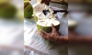 ചക്ക വറുത്തത് ഉണ്ടാക്കിയ കഥ.