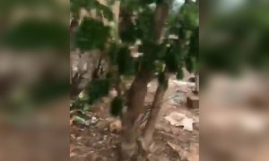 പോലീസിനെ പേടിച്ച് കണ്ടം വഴി ഓടി !