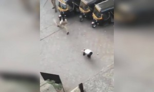 വീട്ടിൽ ഇരിക്കാൻ പറഞ്ഞാൽ കേട്ടില്ലങ്കിൽ ഇതായിരിക്കും അവസ്ഥ