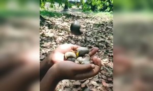 ഇതൊക്കെ ഒരു കാലം