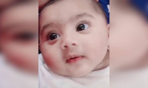 എന്ത് ക്യൂട്ട് ആണ് !