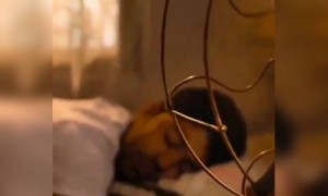 പുറത്ത് ഇറങ്ങാൻ പറ്റാത്ത അവസ്ഥയാണല്ലോ ദൈവമേ !!!