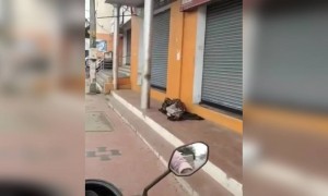 ആഹാരത്തിന് വകയില്ലാത്തവരെ നമ്മൾ സഹായിക്കണം