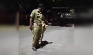 മനുഷ്യരെക്കാളും നന്ദി ഉണ്ടാവും മിണ്ടാപ്രാണികൾക്ക് !