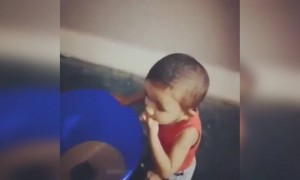 ഇങ്ങനെ ഒരു കരിപ്പ് മതിയല്ലോ ചിരിച്ച് ചാവാൻ !