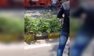 ഇതൊക്കെയാണ് പ്രോത്സാഹിപ്പിക്കേണ്ടത്, നല്ലത് വരട്ടെ !