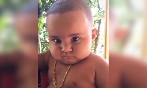 ചെറുക്കൻ കുറച്ച് കലിപ്പാണല്ലോ !