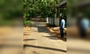 ലോക്ക് ഡൗൺ സമയത്ത് നീ പുറത്ത് ഇറങ്ങും അല്ലേടാ !