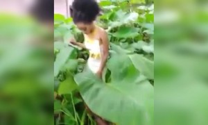 കൊതുക്, ആരോ കഷ്ടപ്പാടുകളെ !