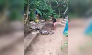 ഇങ്ങനെയൊക്കെ കാണിച്ചാൽ ആർക്കായാലും ദേഷ്യം വരില്ലേ !