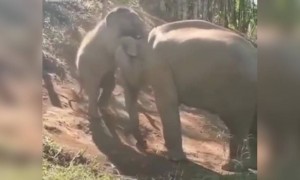 ഇതല്ല ഇതിനപ്പുറം ചാടിക്കടന്നവൻ !