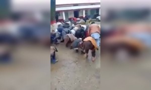 പുറത്ത് പോകരുതെന്ന് എത്ര പറഞ്ഞാലും ഇവന്മാർക്കൊന്നും മനസ്സിലാവില്ലേ