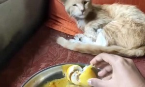 എന്റെ ഈശ്വരാ എവിടുന്നാ ഈ മണം