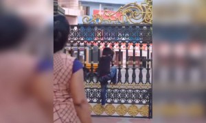 അമ്മയുടെ സ്നേഹം !!