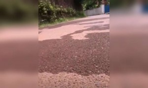 വെറും വെള്ളം കൊണ്ട് പടം വരയ്ക്കാൻ പറ്റുമോ !