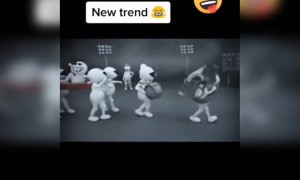 ഇപ്പോൾ ഇതാണല്ലോ ട്രെൻഡ്