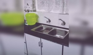 ഇതുകൊണ്ട് ഇങ്ങനെയൊരു ഉപകാരമുണ്ട് അല്ലെ !