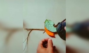 ഇതൊക്കെയല്ലേ കഴിവ് !