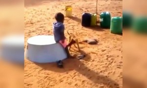 ഇനി ആ പട്ടി ജീവിതത്തിൽ ആരെയും കടിക്കില്ല