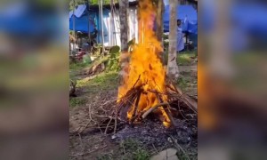 ചാരം വാരിക്കോ ഗംഗയിൽ ഒഴുക്കാം !